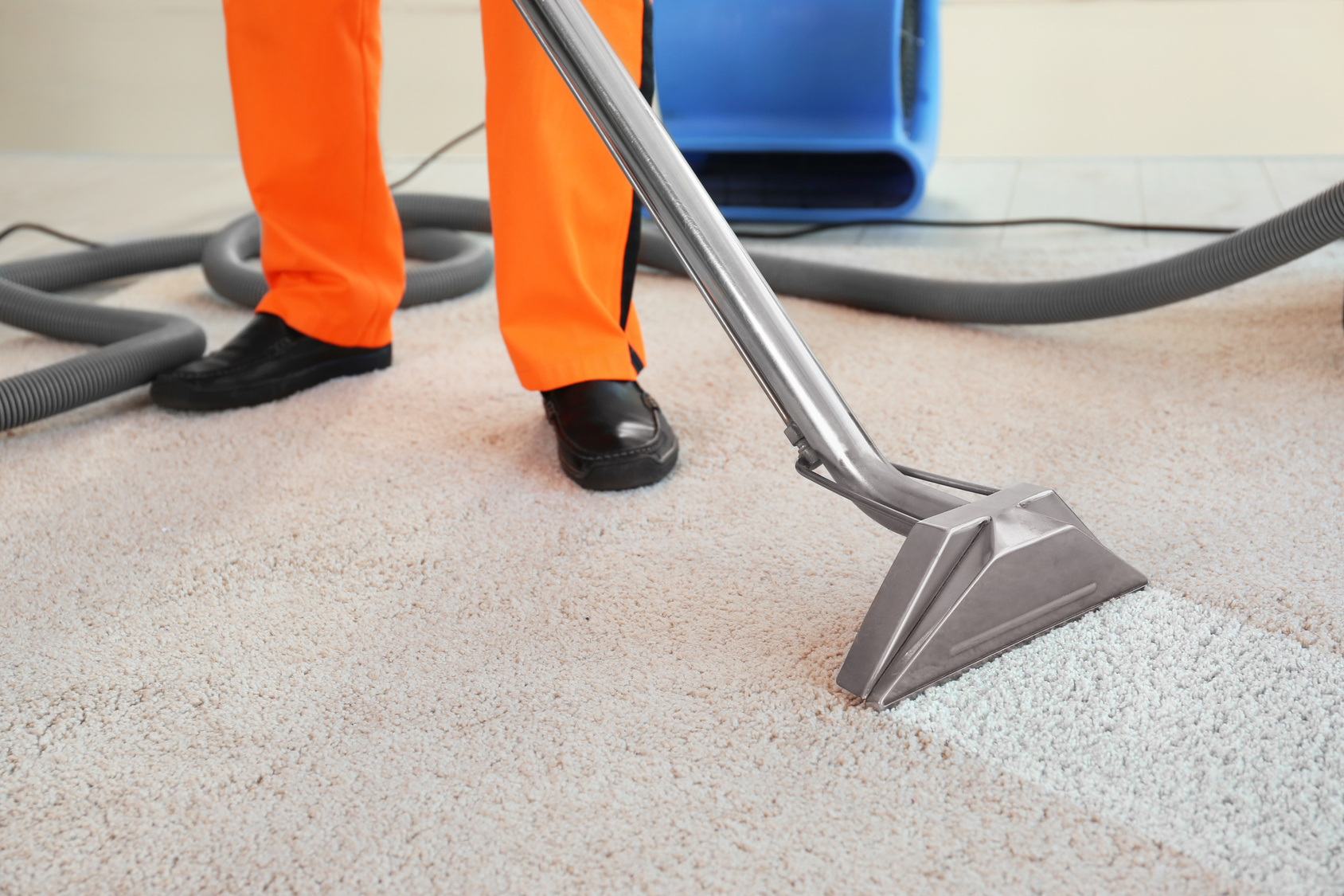 wet carpet cleaning